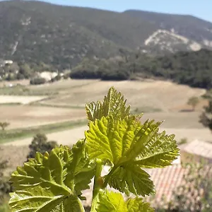 Eco Dans Les Vignes Appartement Rousset-les-Vignes